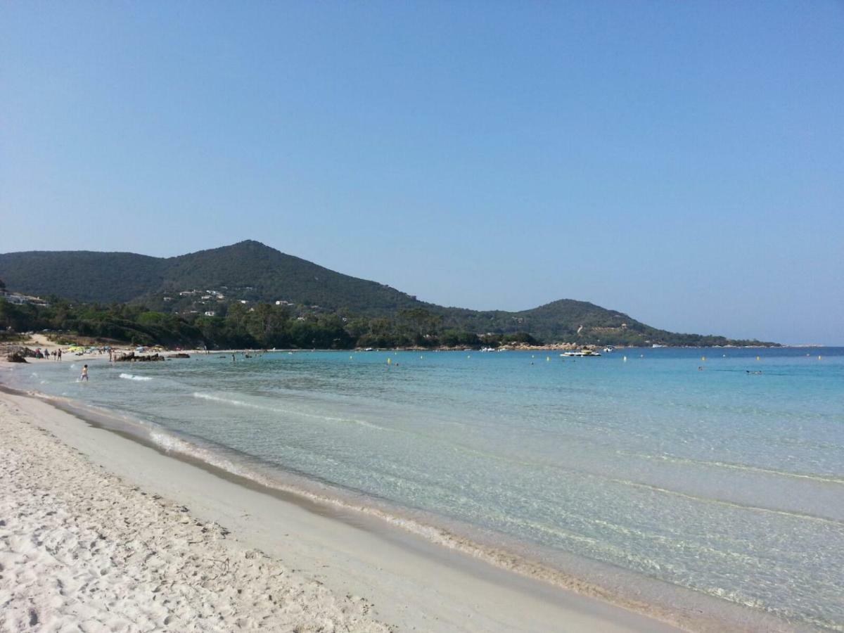 T2 De 45 M2 Sur Porticcio Avec Jardin Daire Dış mekan fotoğraf